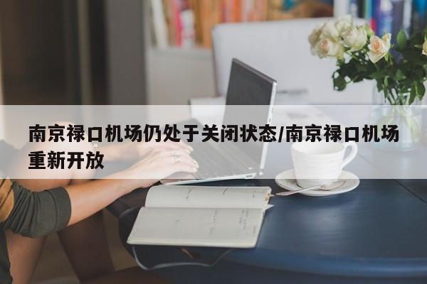 南京禄口机场仍处于关闭状态/南京禄口机场重新开放