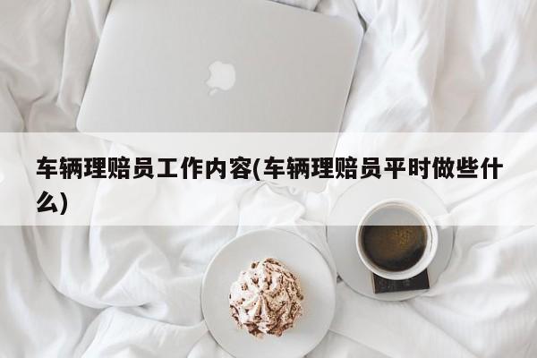 车辆理赔员工作内容(车辆理赔员平时做些什么)